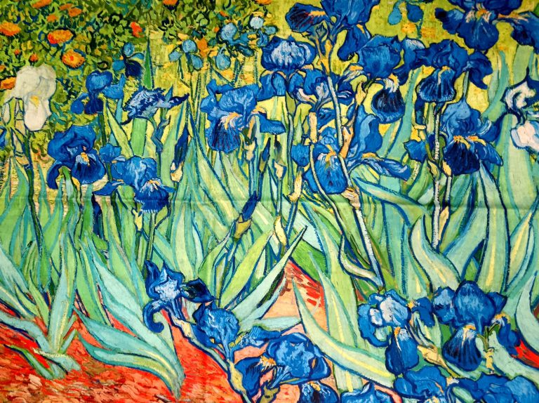 Echarpe Les Iris de Van Gogh boutique les 101 idées folles à Langres 52200